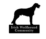 Irish Wolfhound Community