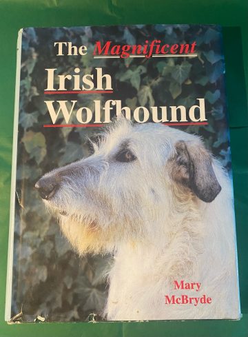 The Magnificent Irish Wolfhound (2)