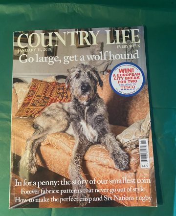 Country Life Magazine (29)