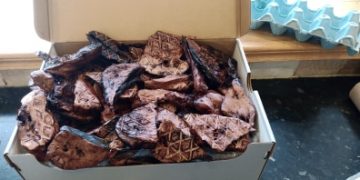 Dried Dog Treats (32)