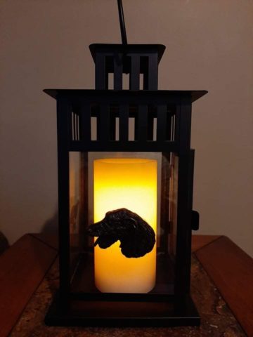 Beautiful Lantern will include battery operated candle (3)