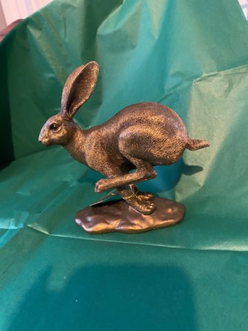 Bronzed Hare (45)