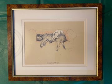 Cecil Aldin Framed Print (8)