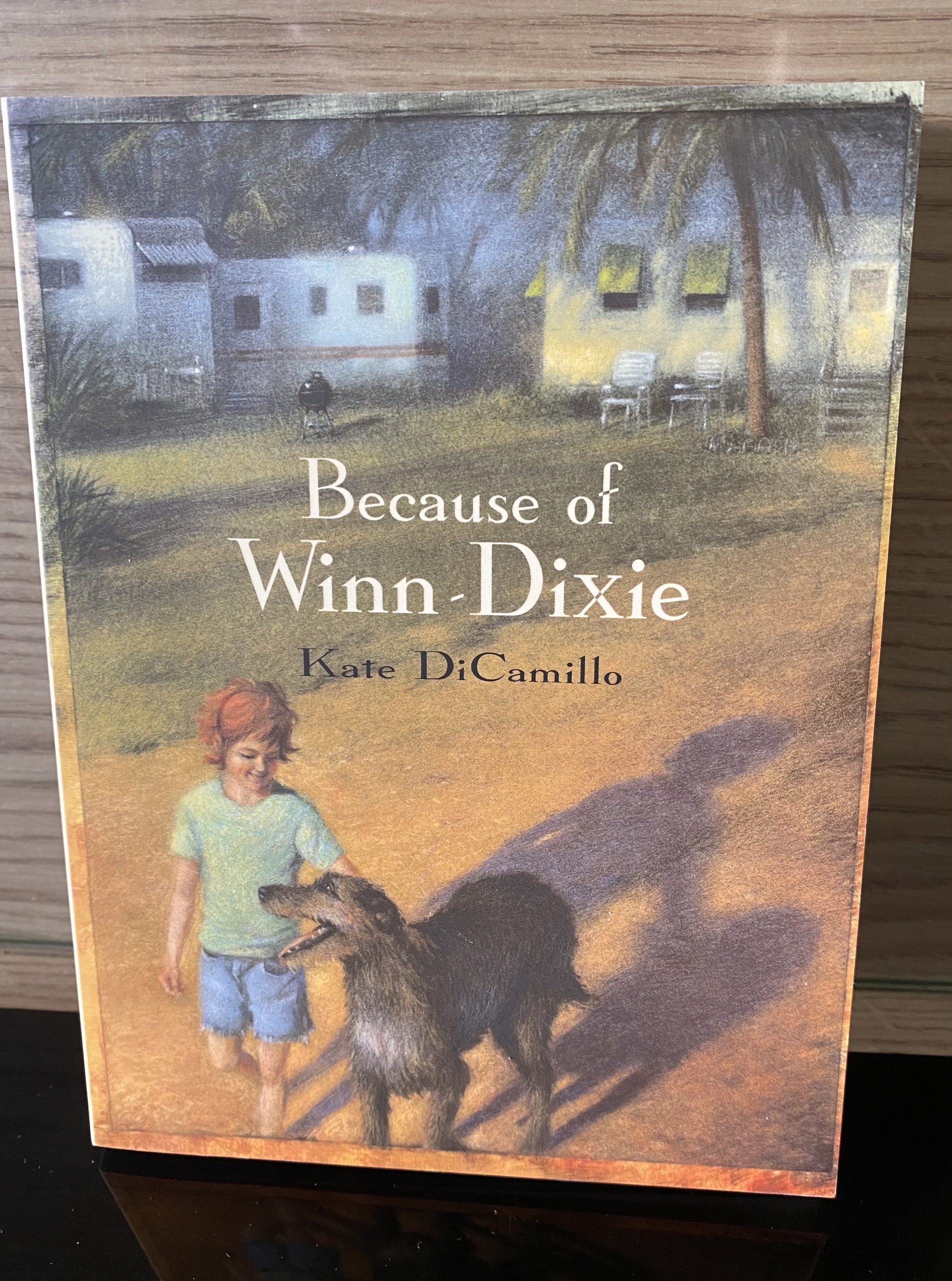 Because of Winn-Dixie by Kate DiCamillo (25)