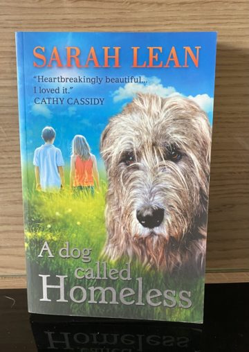 A dog called Homeless by Sarah Lean (28)
