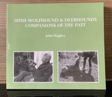 Irish Wolfhounds & Deerhounds Companions of the Past (21)