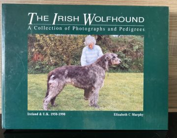 The Irish Wolfhound by Elizabeth C Murphy (11)